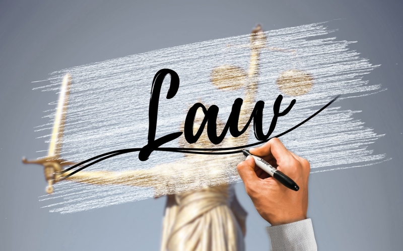 Nouveautés en droit professionnel et immigration 