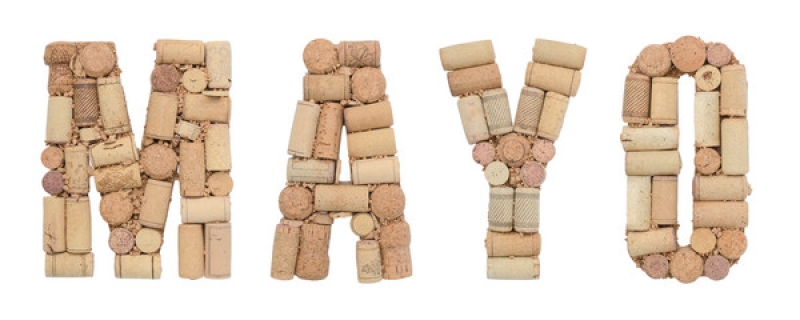 Mayo: Comentario a las normativas y sentencias judiciales adoptadas en materia social. 