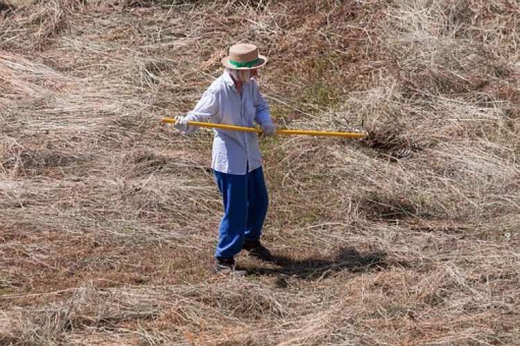 El calentamiento global como causa del estrés por calor de la persona trabajadora. 