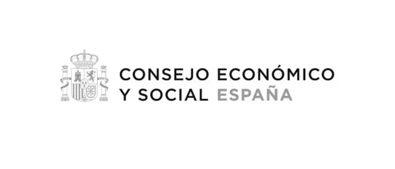 Afirmaciones del Consejo Económico y Social sobre el sistema de cuidados 