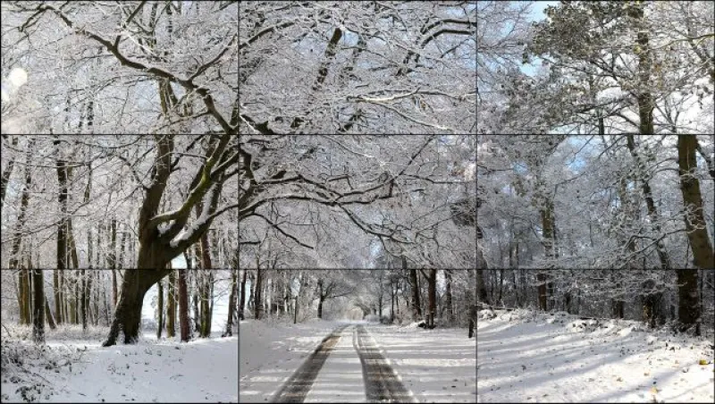 Diciembre de 2021: disfrutando del presente invernal mirando el bosque de Worldgate, de David Hockney 