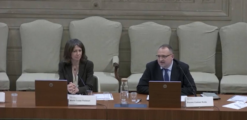 Mi intervención (en inglés) presentando el Plan de investigación 